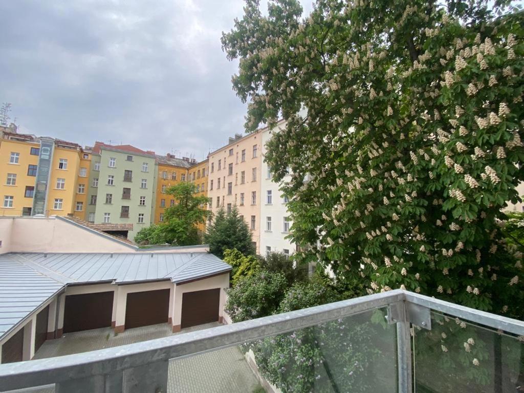 Designed Apartment Next To Vaclav Square With Terrace And Private Garage Prag Eksteriør billede